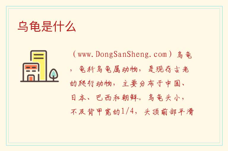 乌龟是什么 