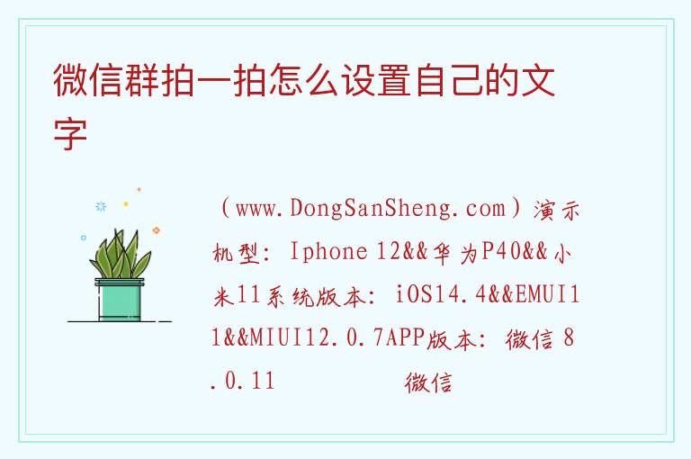 微信群拍一拍怎么设置自己的文字 