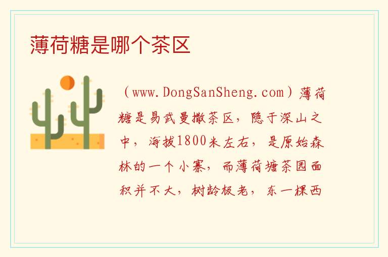 薄荷糖是哪个茶区 