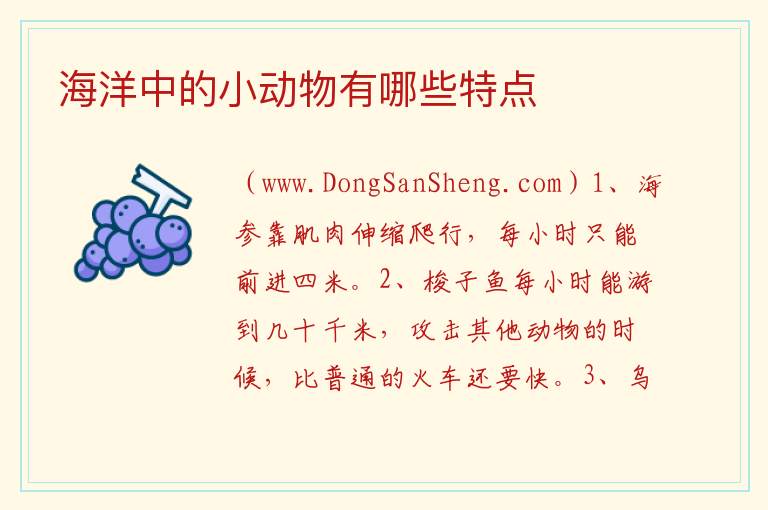 海洋中的小动物有哪些特点 