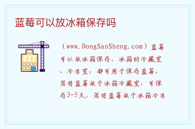 蓝莓可以放冰箱保存吗 