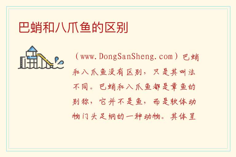 巴蛸和八爪鱼的区别 