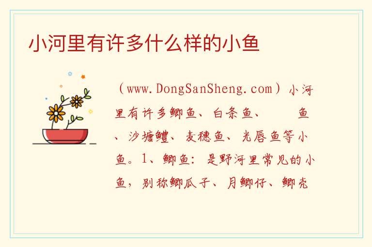 小河里有许多什么样的小鱼 