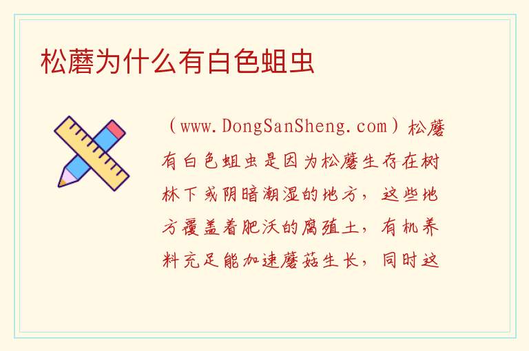 松蘑为什么有白色蛆虫 