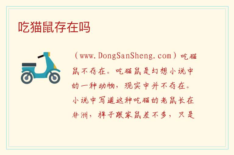 吃猫鼠存在吗 