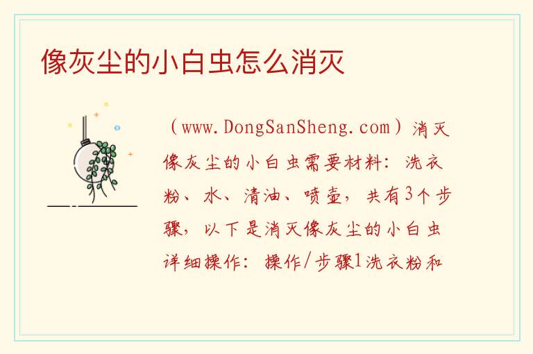 像灰尘的小白虫怎么消灭 