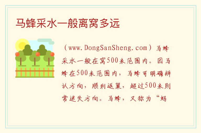 马蜂采水一般离窝多远 