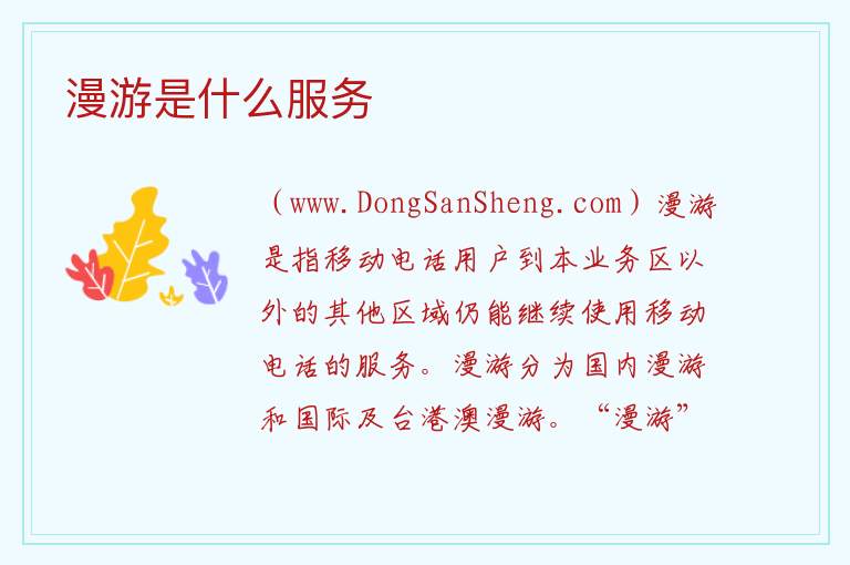 漫游是什么服务 