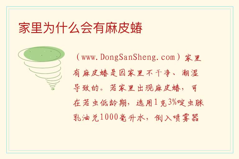 家里为什么会有麻皮蝽 