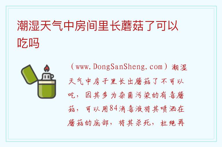 潮湿天气中房间里长蘑菇了可以吃吗 