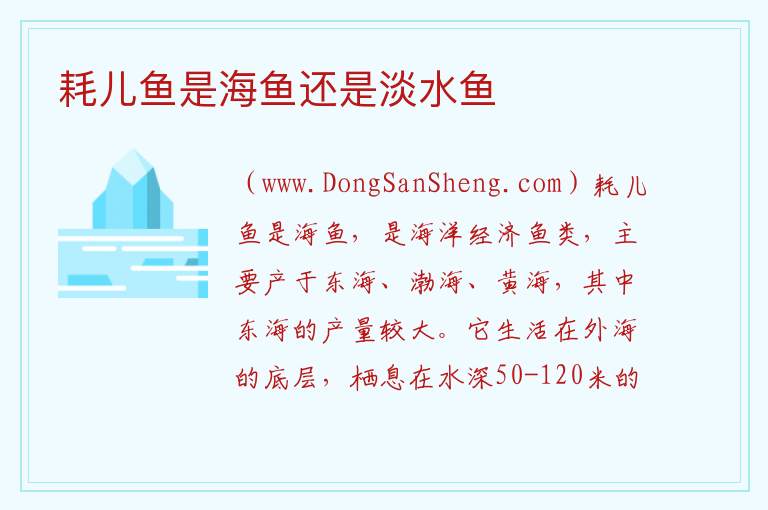 耗儿鱼是海鱼还是淡水鱼 