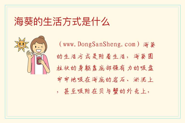 海葵的生活方式是什么 