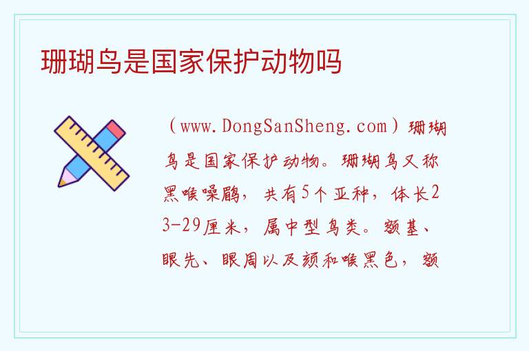珊瑚鸟是国家保护动物吗 
