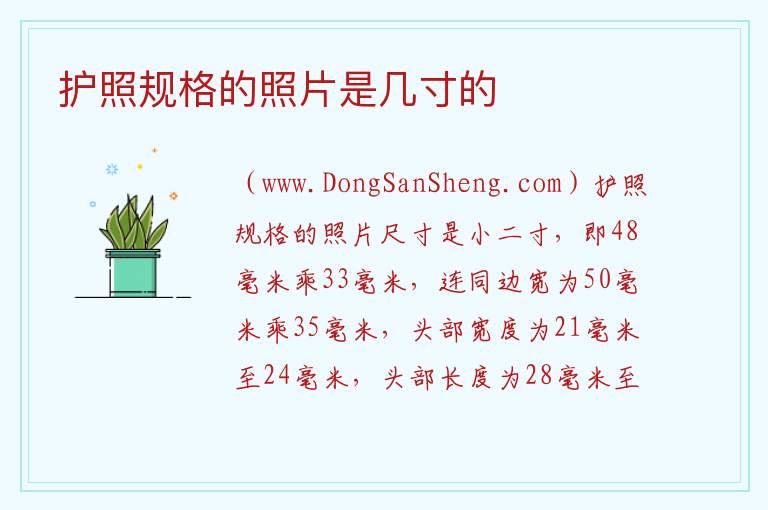 护照照片要求2023，护照照片要求2023