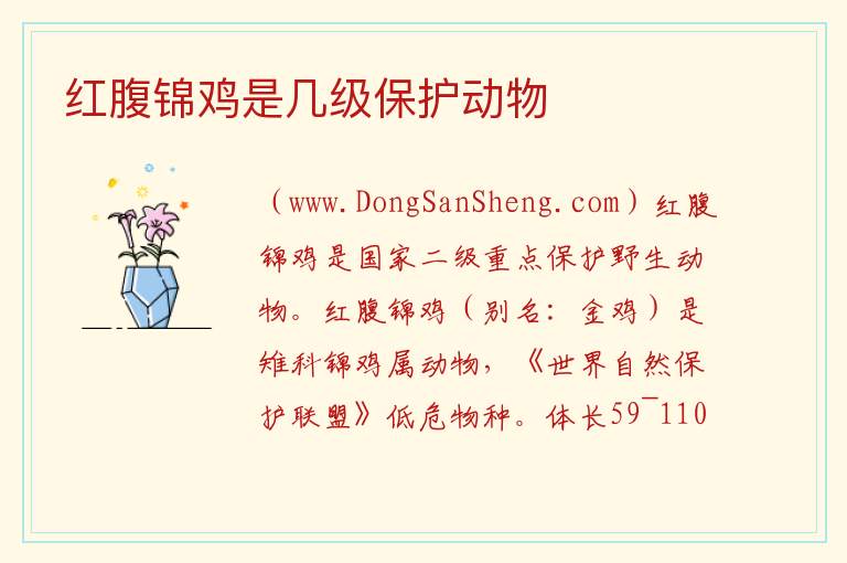 红腹锦鸡是几级保护动物 养二级保护鸟犯法吗