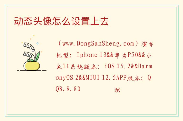 动态头像怎么设置上去 