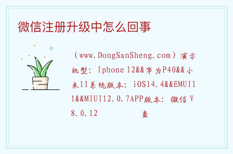 微信注册升级中怎么回事 