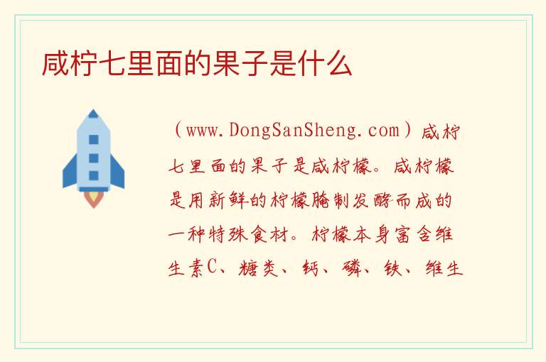 咸柠七里面的果子是什么 