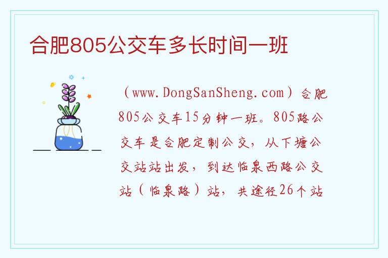 合肥805公交车多长时间一班 