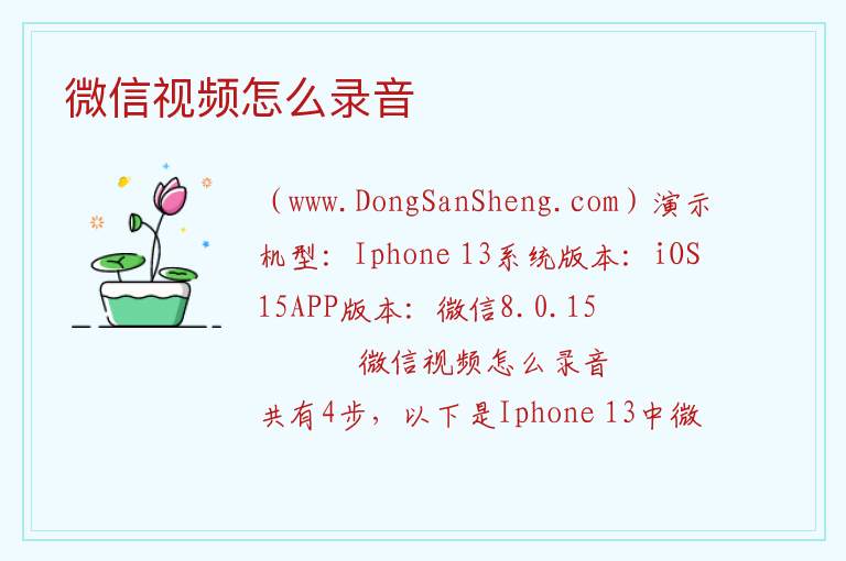 微信视频怎么录音 