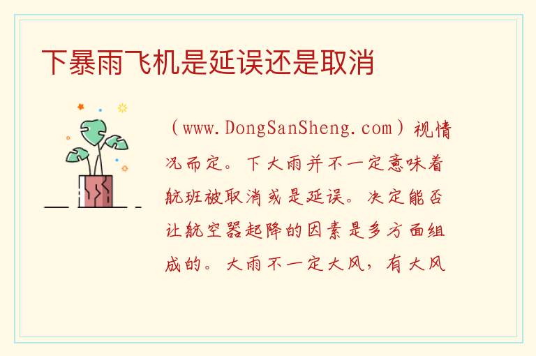 下暴雨飞机是延误还是取消 