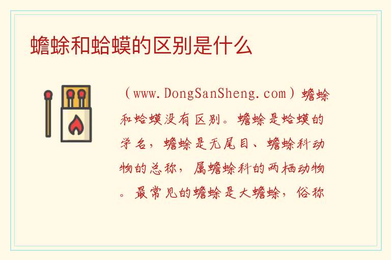 蟾蜍和蛤蟆的区别是什么 
