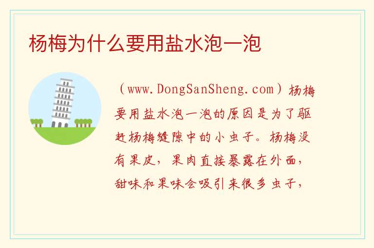杨梅为什么要用盐水泡一泡 