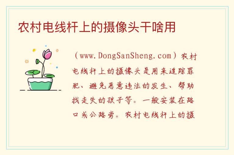 农村电线杆上的摄像头干啥用 