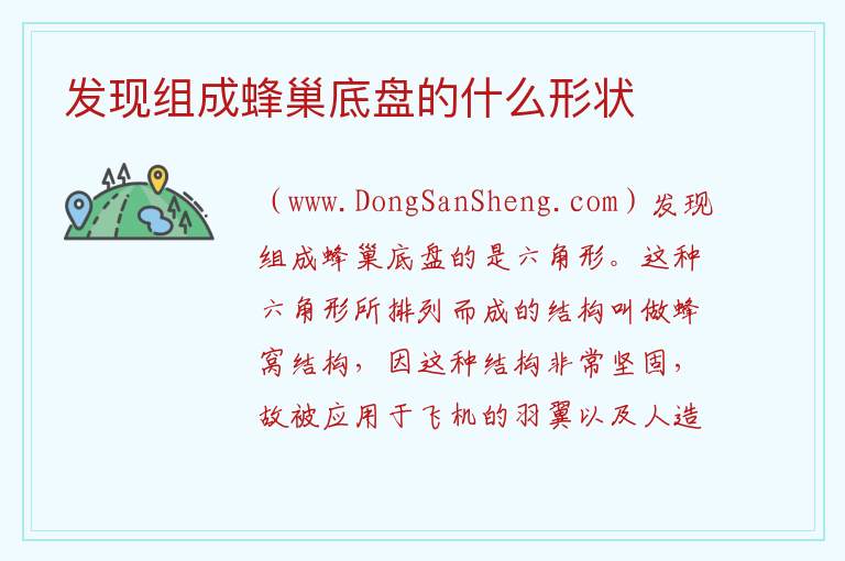 蜂巢的样子和形状，蜂巢的样子和形状