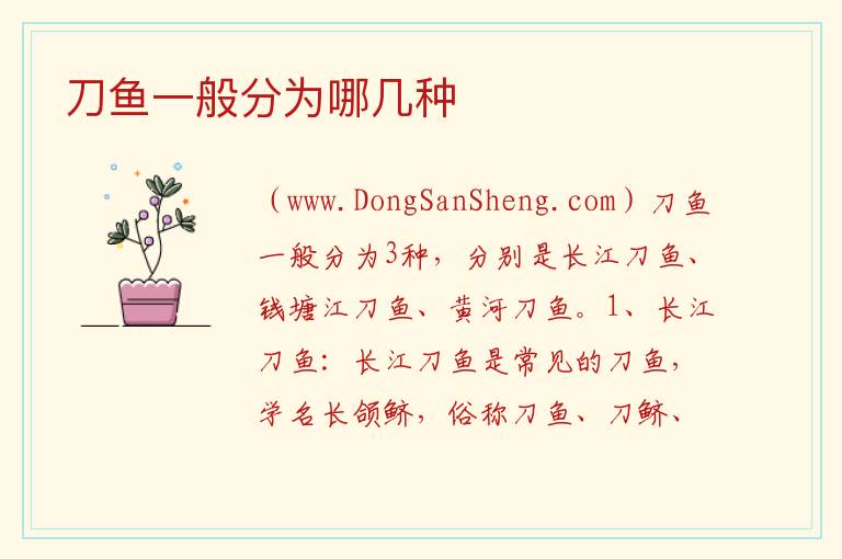 刀鱼一般分为哪几种 