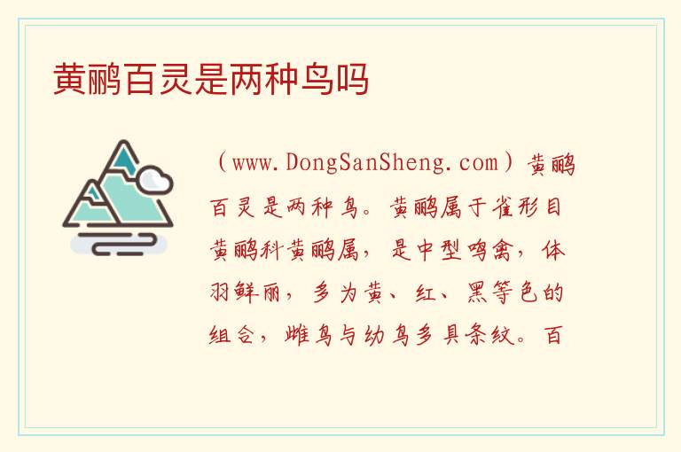 黄鹂百灵是两种鸟吗 