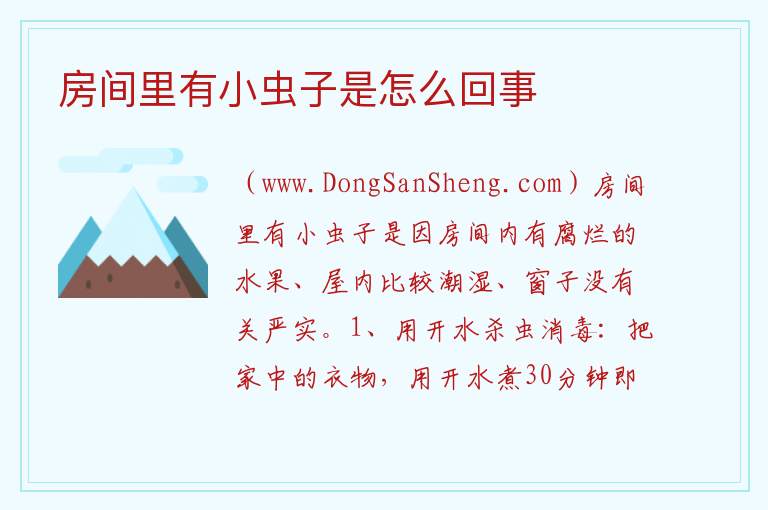 房间里有小虫子是怎么回事 
