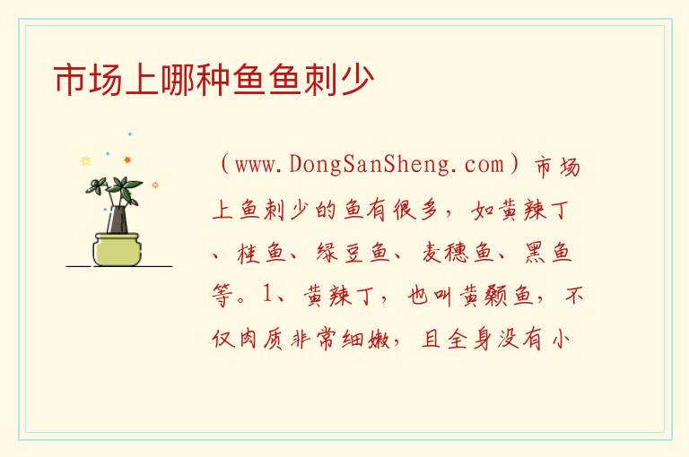 市场上哪种鱼鱼刺少 
