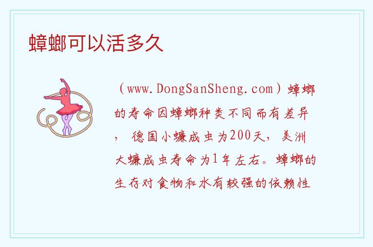 蟑螂可以活多久 