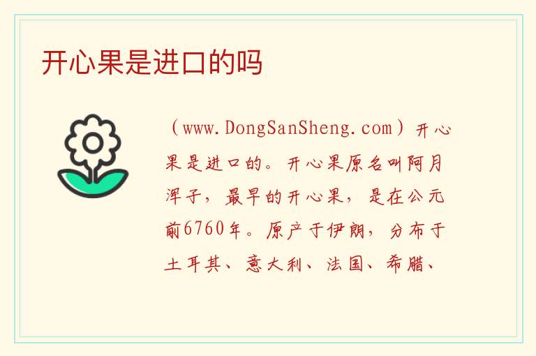 开心果是进口的吗 