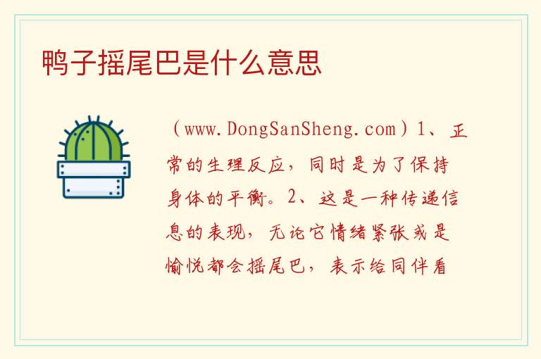 鸭子摇尾巴是什么意思 