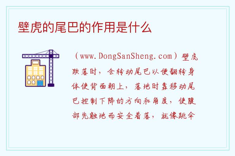 壁虎的尾巴的作用是什么 