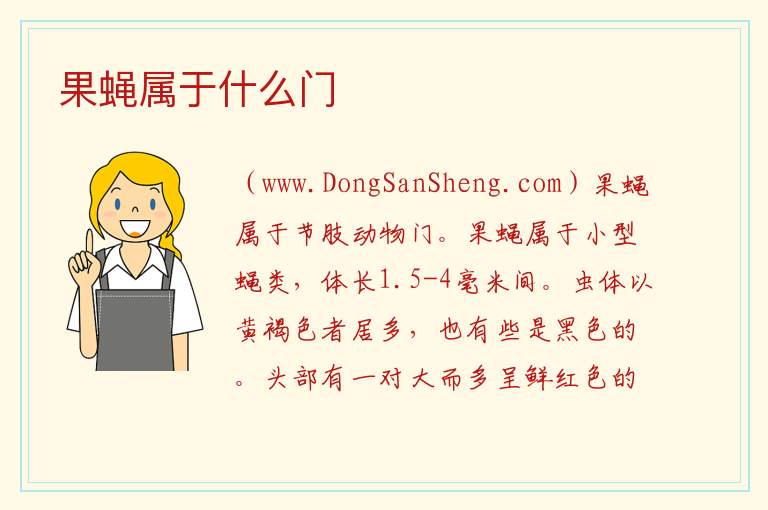 果蝇属于什么门 