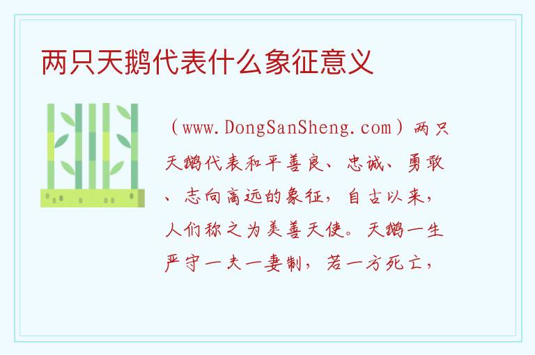 两只天鹅代表什么象征意义 