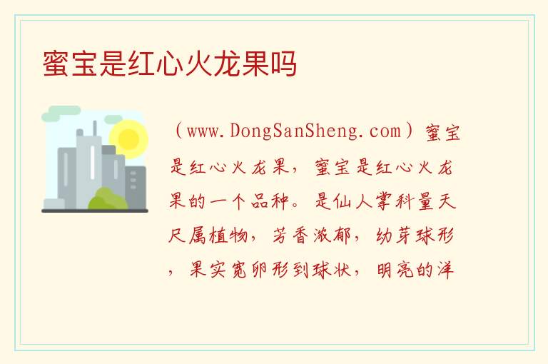 蜜宝是红心火龙果吗 