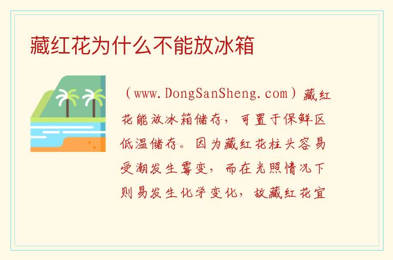 藏红花为什么不能放冰箱 