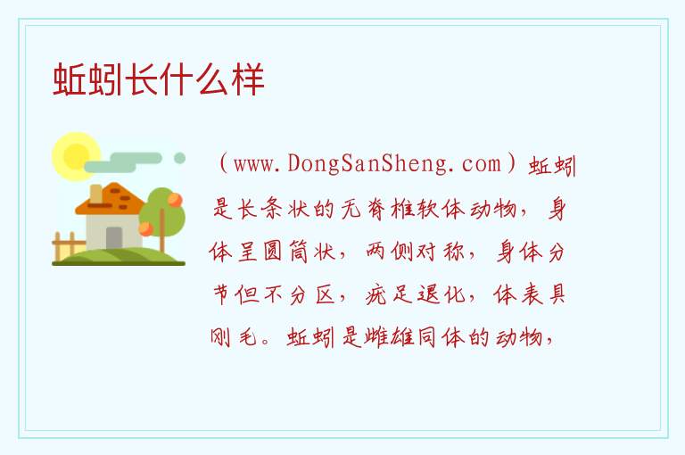 蚯蚓长什么样 