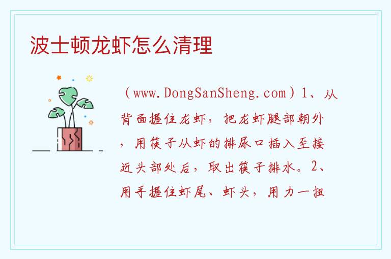 波士顿龙虾怎么清理 