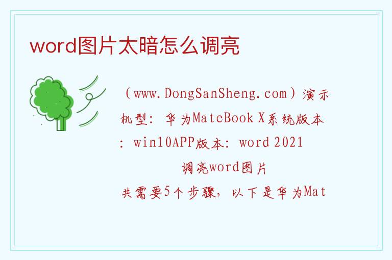 word图片太暗怎么调亮 