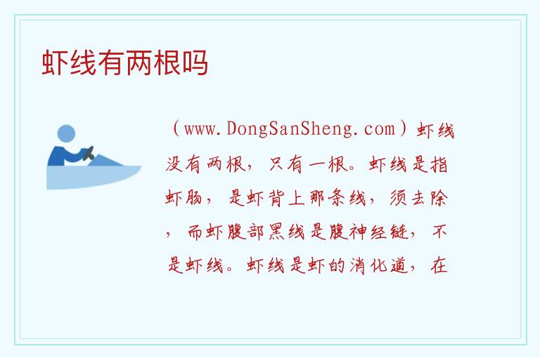 虾线有两根吗 