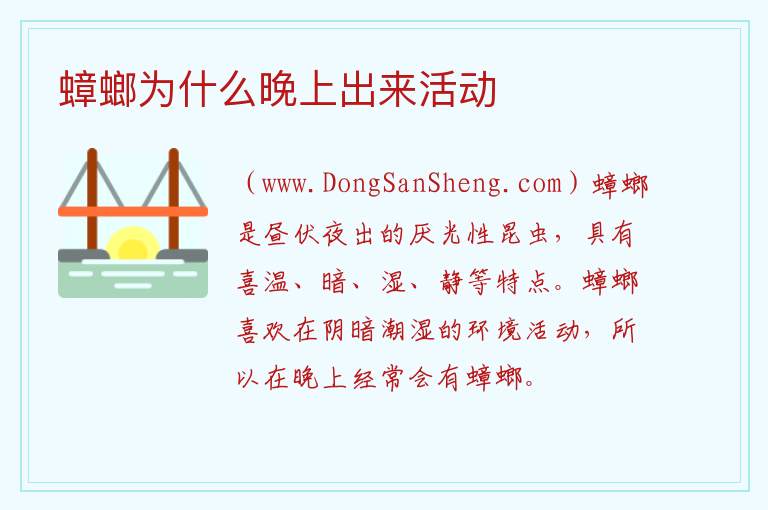 蟑螂为什么晚上出来活动 