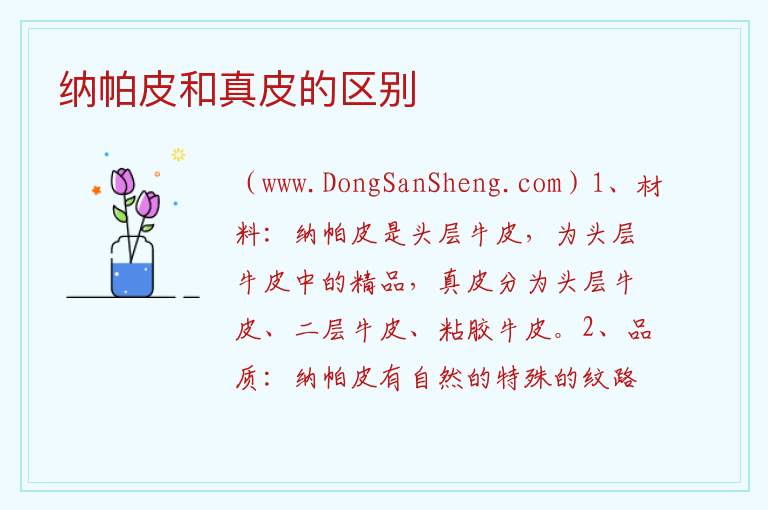 纳帕皮和真皮的区别 