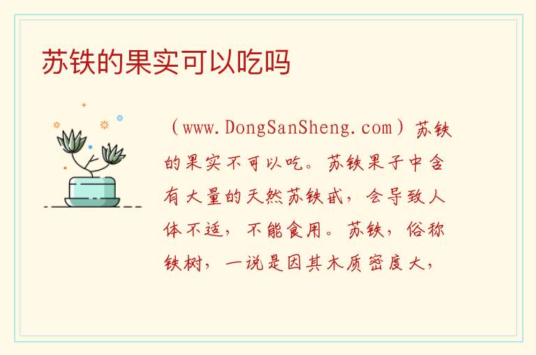 苏铁的果实可以吃吗 