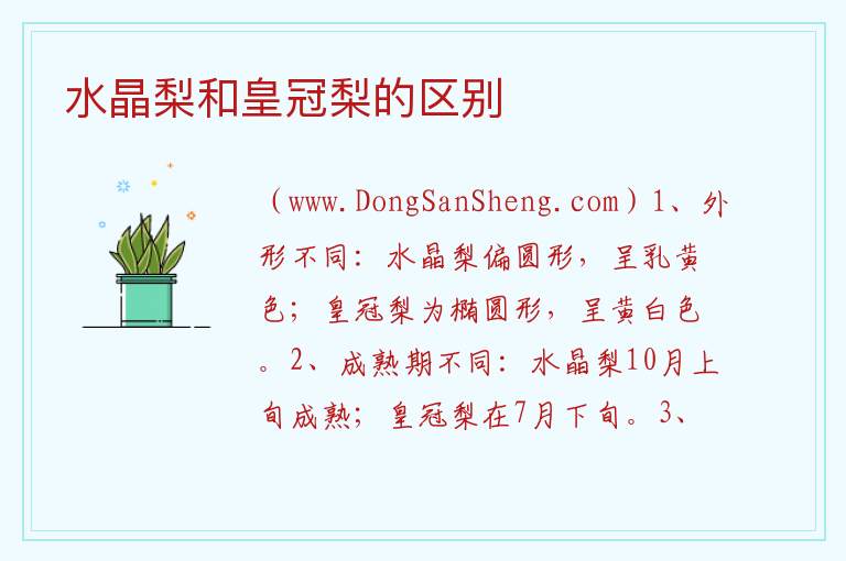 水晶梨和皇冠梨的区别 