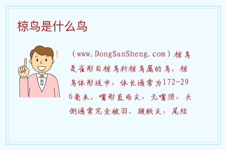 椋鸟是什么鸟 